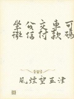 坐公交车可以用微信付款码付款吗