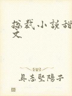 总裁小说甜文宠文