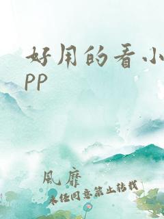 好用的看小说app