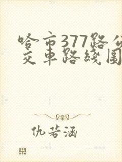 哈市377路公交车路线图