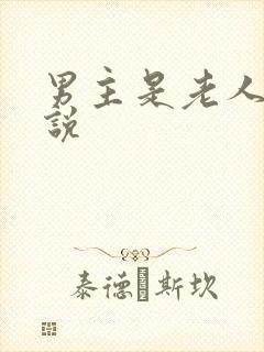 男主是老人的小说