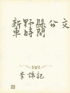新野县公交车发车时间