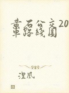 黄石公交20路车路线图