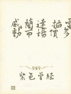 威兰达 插电混动市场价多少钱