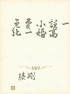 免费小说一婚还比一婚高