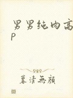 男男纯肉高hnp