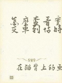 怎么查看实时公交车到站时间