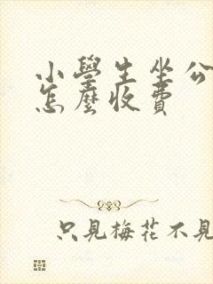 小学生坐公交车怎么收费