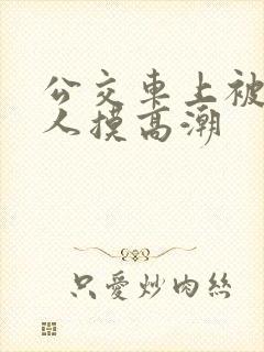 公交车上被陌生人摸高潮