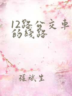 12路公交车站的线路