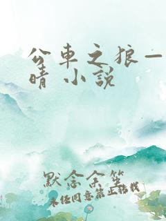 公车之狼——诗晴 小说