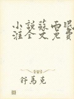 小说苏雨眠江易淮全文免费阅读
