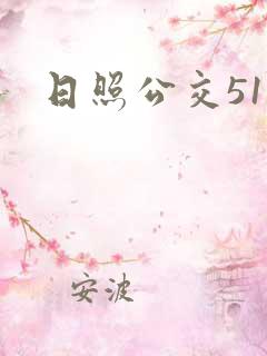 日照公交51路