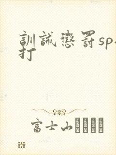 训诫惩罚sp挨打