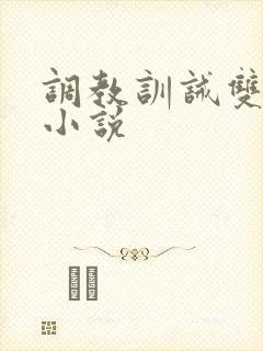 调教训诫双男主小说