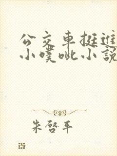 公交车挺进她的小噗呲小说