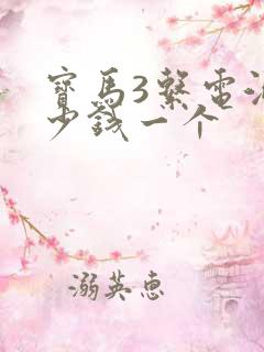 宝马3系电池多少钱一个