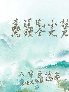 李道风小说在线阅读全文免费无弹窗
