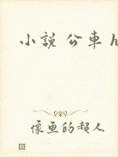 小说 公车 h