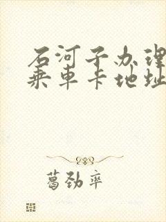 石河子办理老年乘车卡地址