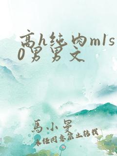 高h纯肉m1s0男男文