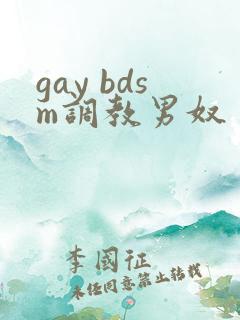 gay bdsm调教男奴