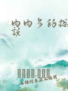 肉肉多的总裁小说 肉肉多的总裁小说