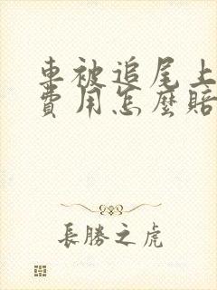 车被追尾上下班费用怎么赔偿