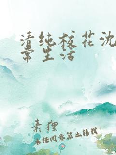 清纯校花沈柔日常生活