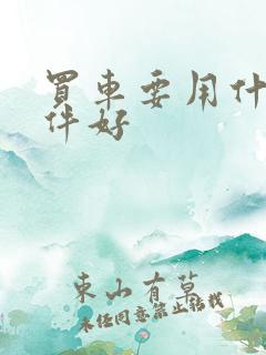 买车要用什么软件好