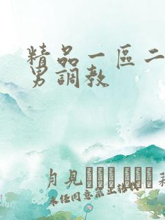 精品一区二区男男调教