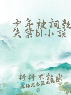 少年被调教爽到失禁bl小说