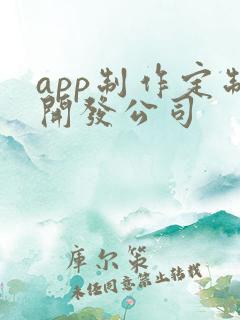 app制作定制开发公司 app制作定制开发公司