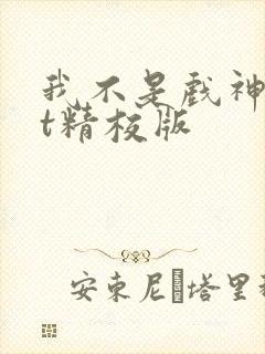 我不是戏神txt精校版