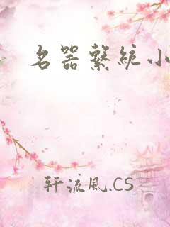名器系统小说