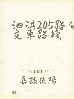 泗洪205路公交车路线 泗洪205路公交车路线