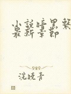 小说暗黑系暖婚最新章节