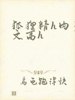 狐狸精h肉多荤文高h