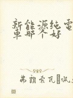 新能源纯电动汽车哪个好