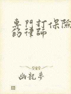 专门打保险官司的律师