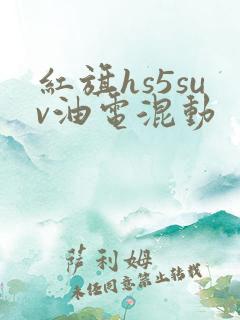 红旗hs5suv油电混动