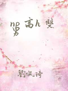 np 高h 双男