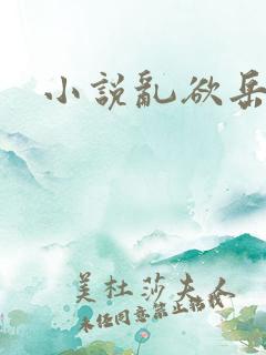 小说乱欲岳母
