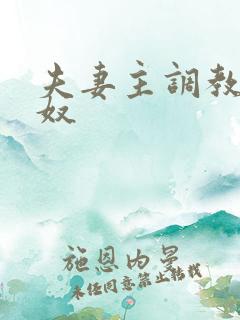 夫妻主调教夫妻奴
