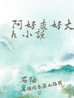 阿好爽好大好硬h 小说
