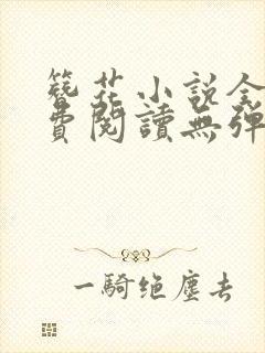 簪花小说全文免费阅读无弹窗