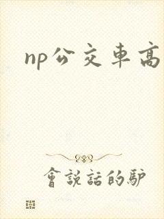 np公交车高h