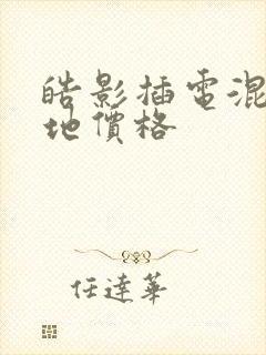 皓影插电混动落地价格