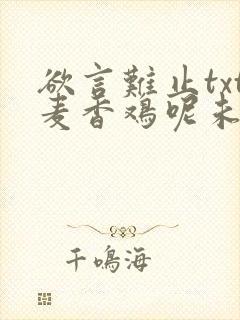 欲言难止txt麦香鸡呢未删减