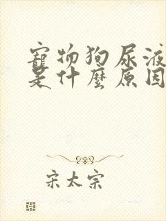宠物狗尿液发黄是什么原因